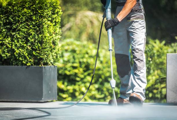 Animal Enclosure Cleaning in Eastport, NY