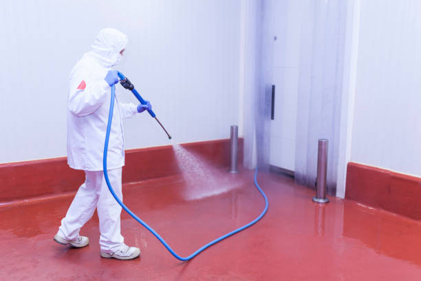 Trusted Eastport, NY Pressure Washing Services Experts