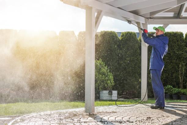 Best Dumpster Area Cleaning  in Eastport, NY